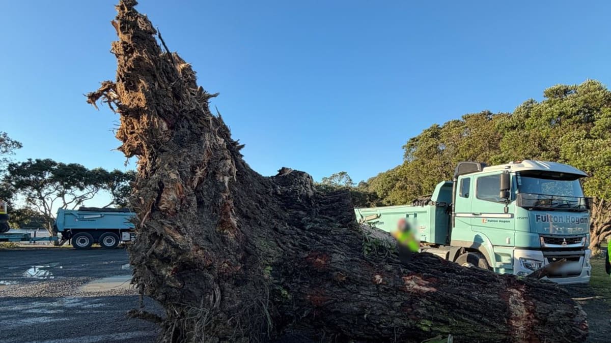 'Traumatised': Residents given green light to return to landslide-hit apartments