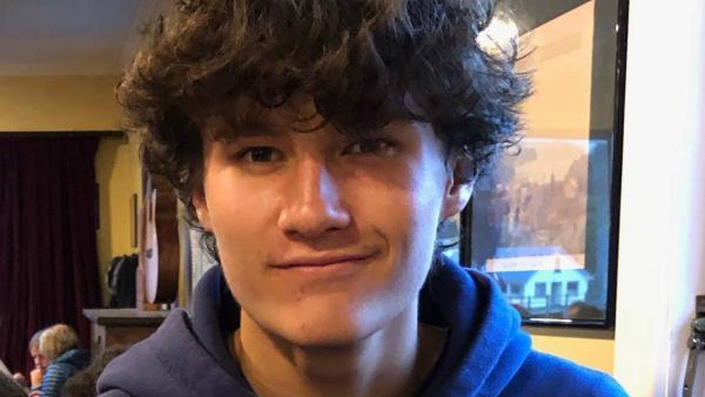 Joshua Wayne Hartner, 17, of Auckland, was killed on New Year's Day. (Photo / NZ Police)