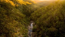 Mike Yardley: Forest treats & secluded retreats on the Gold Coast
