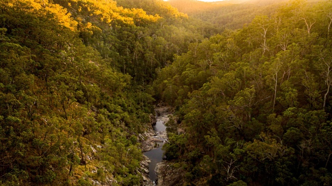 Tamborine National Park. Photo / Destination Gold Coast