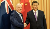 Prime Minister Christopher Luxon meeting President Xi Jinping of China. Photo / Supplied