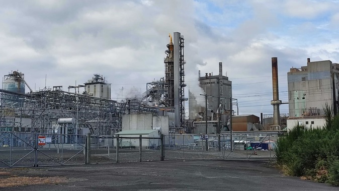 About 230 workers at Tokoroa's Kinleith Mill will lose their jobs. Photo / Maryana Garcia