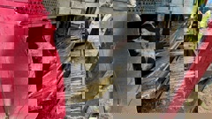 The bulls were safely extracted from a metal box after the trailer rolled on State Highway 50, near Tikokino. Photo / Mike Harrison