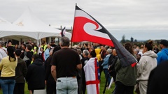 A crowd of more than 300 iwi members and supporters have met at Whareroa Reserve in Rotorua. Photo / Alex Cairns