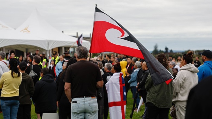 A crowd of more than 300 iwi members and supporters have met at Whareroa Reserve in Rotorua. Photo / Alex Cairns