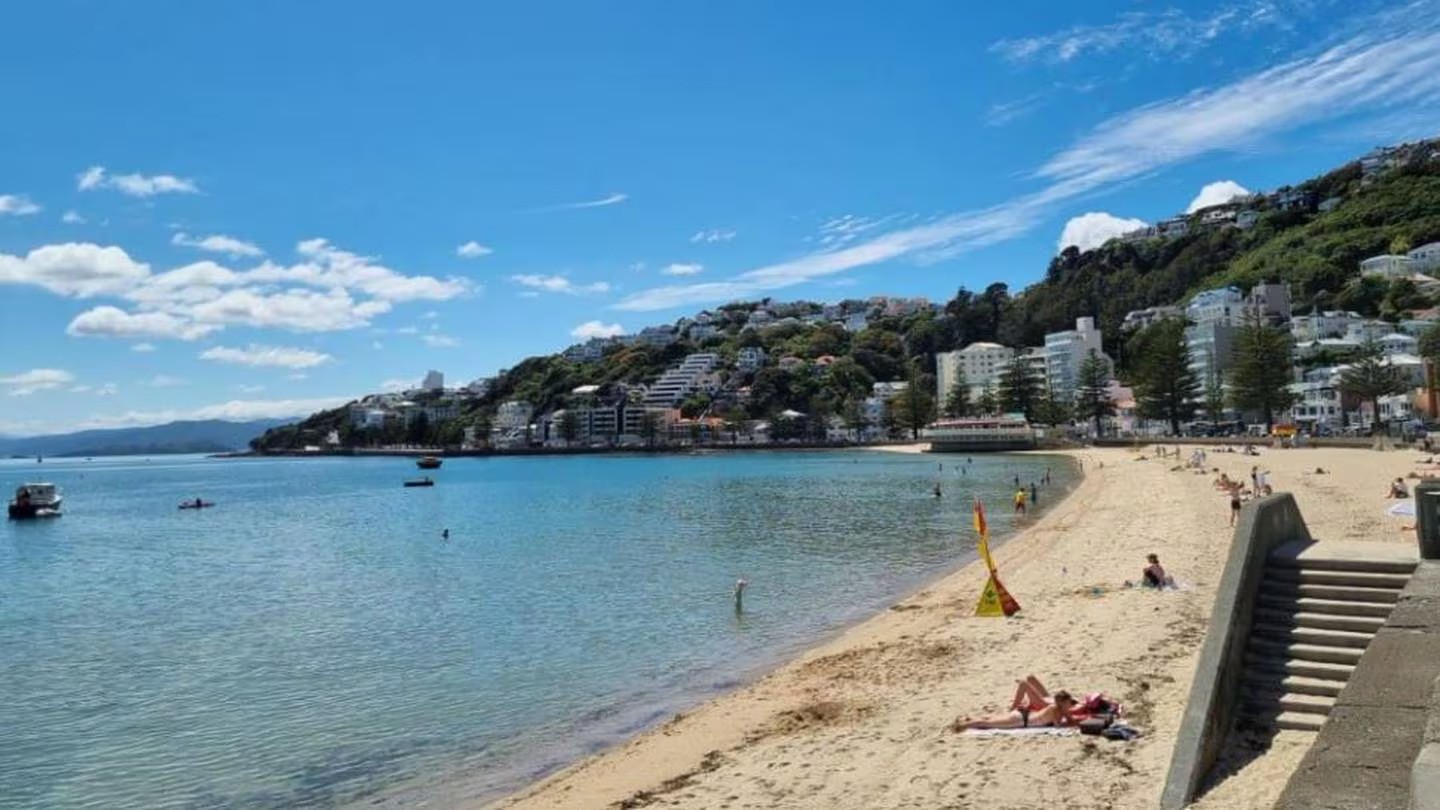 Wellingtonians will be out enjoying a long weekend, with mostly fine weather expected for Sunday. Photo / RNZ / Soumya Bhamidipati