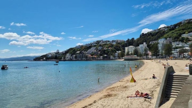Wellingtonians will be out enjoying a long weekend, with mostly fine weather expected for Sunday. Photo / RNZ / Soumya Bhamidipati