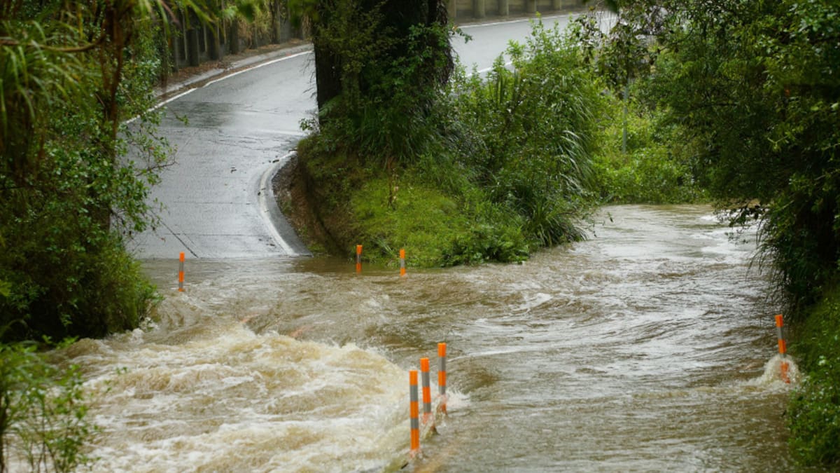 Passenger's near-death escape as car dragged down swollen Warkworth river, driver missing