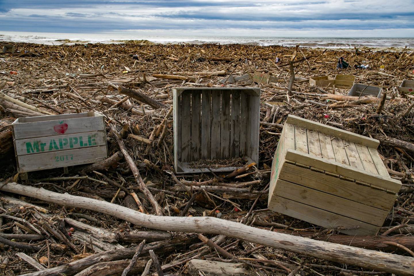 Photo / Warren Buckland