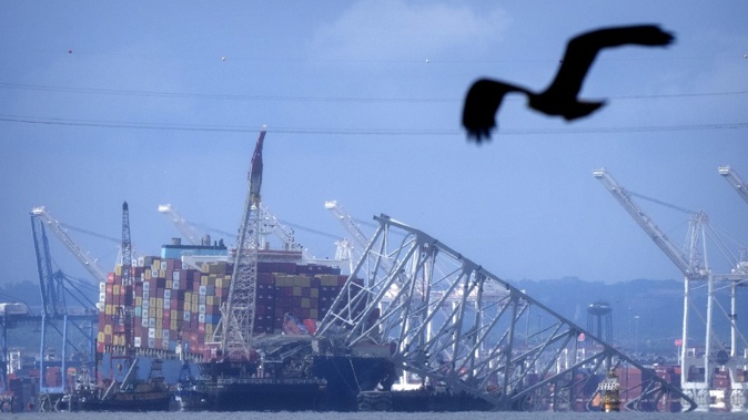 A bird flies past the collapsed Francis Scott Key Bridge resting on the container ship Dali on Sunday, May 12, 2024, in Baltimore, as seen from Riviera Beach, Md. (AP Photo/Mark Schiefelbein)