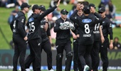 The Black Caps celebrate a wicket in the second ODI against England in Hamilton. Photo / Photosport