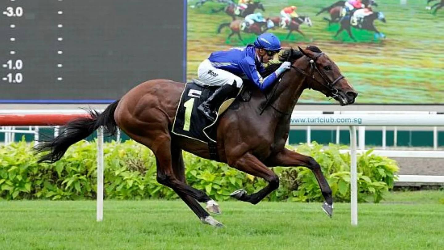 Former New Zealand gelding Cavalry wins in Singapore. Photo / Singapore Turf Club
