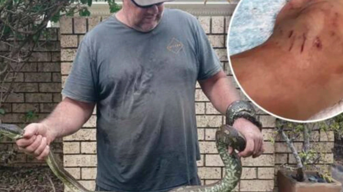 The python dragged the young boy into the pool. Photo / Supplied