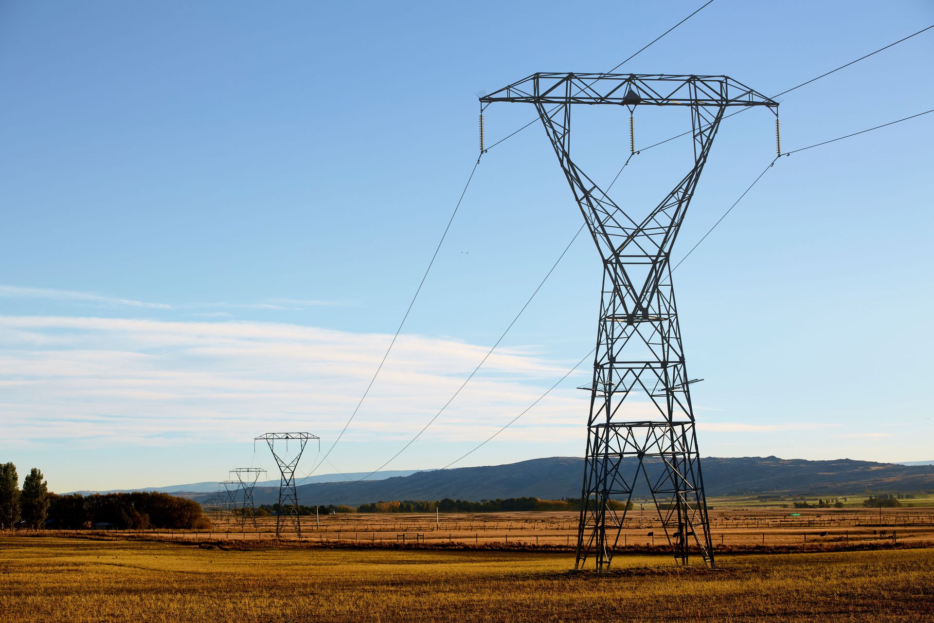 Heather du Plessis-Allen: It's not Genesis' fault