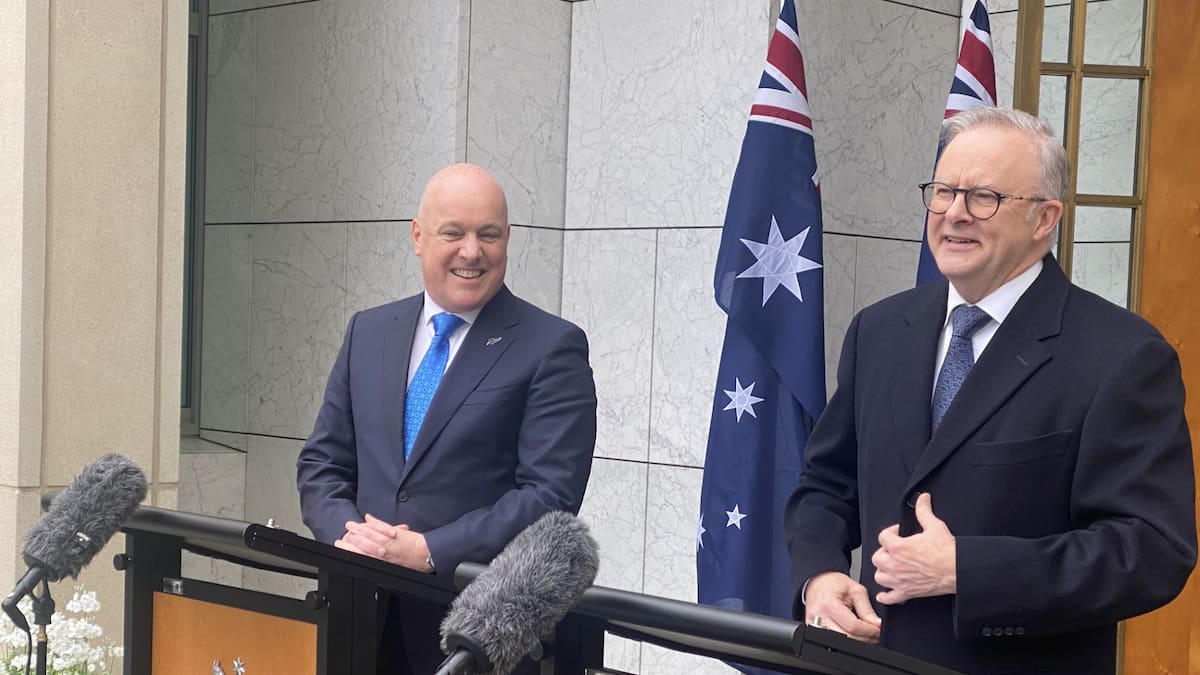 Should New Zealand become the seventh state of Australia amid global uncertainty? 