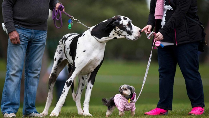 Christchurch City Council has closed the Groynes dog walking park. Photo / Jason Oxenham