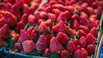 Are strawberries getting more expensive before Christmas?
