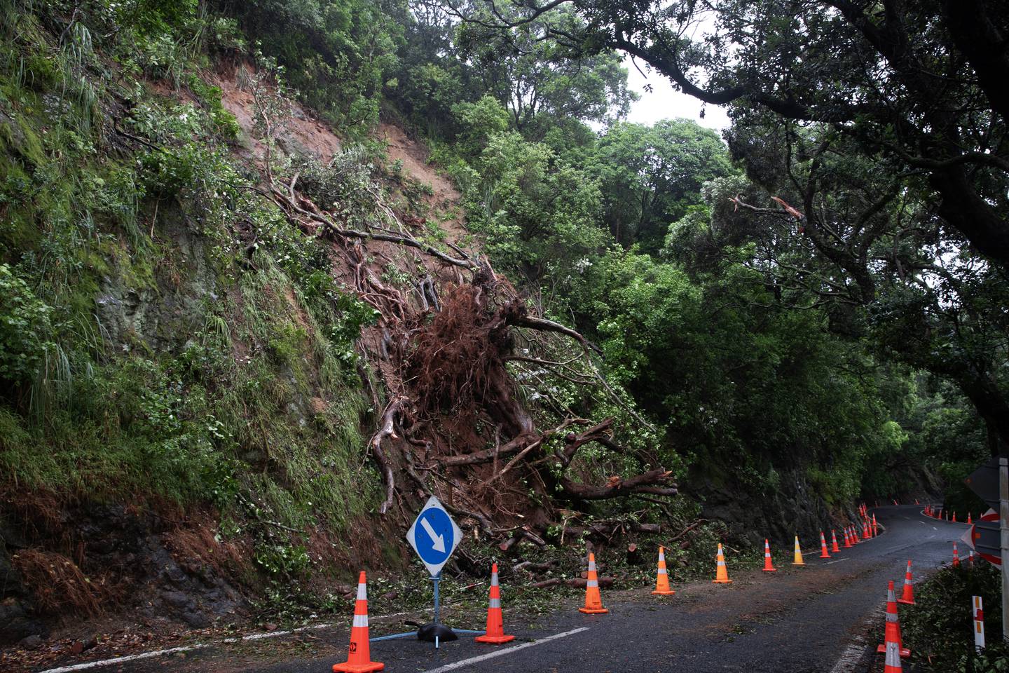  Photo / Hayden Woodward