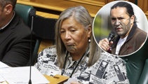Te Pāti Māori emails members with serious allegations against MP and high-profile son