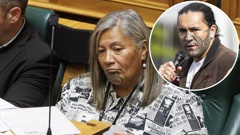 Te Pāti Māori MP Mariameno Kapa-Kingi and son Eru (inset). Image - Mark Mitchell