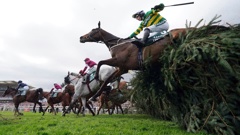 I Am Maximus on his way to victory in the Grand National. Photo / AP