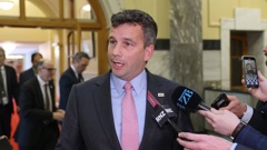 Associate Health Minister David Seymour. Photo / Mark Mitchell