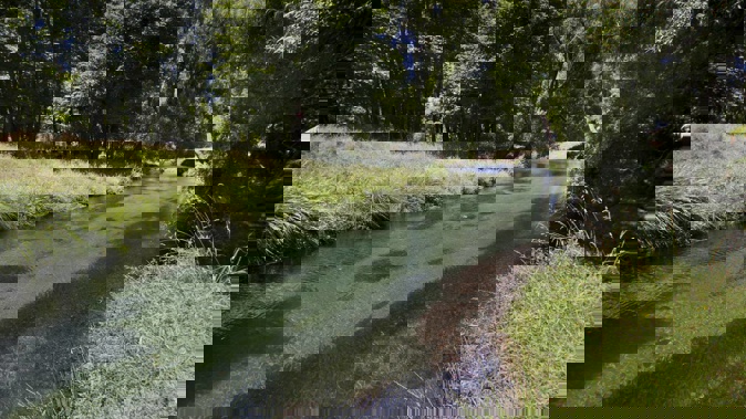 Awahou Stream, downstream from Taniwha Springs/Te Waro Uri spring. Photo / NZME