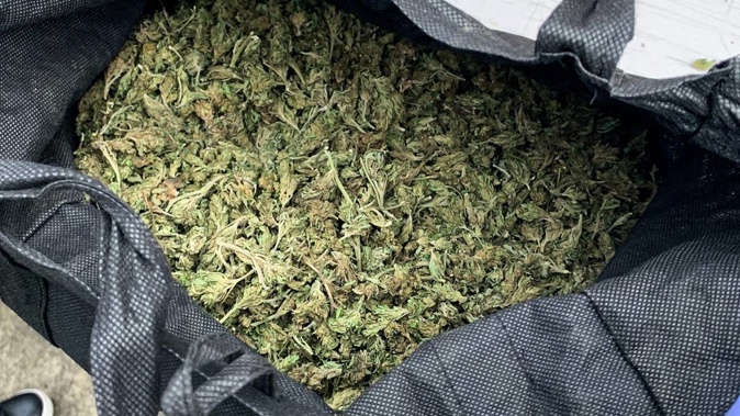 Large bags of cannabis were among the drugs seized during the raids. (Photo / New Zealand Police) 