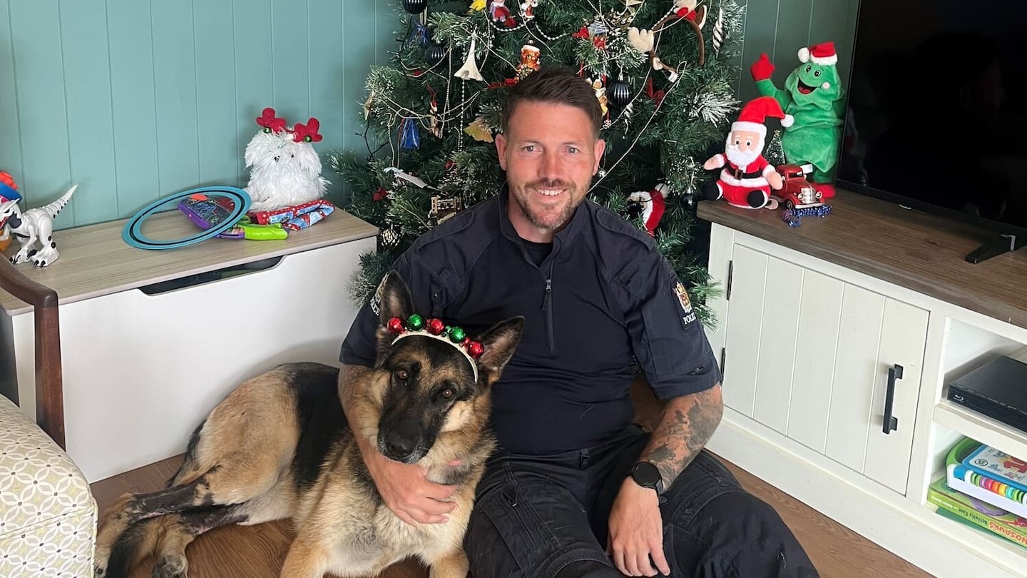 Police dog Teo - burned in Rotorua geothermal water - on road to recovery