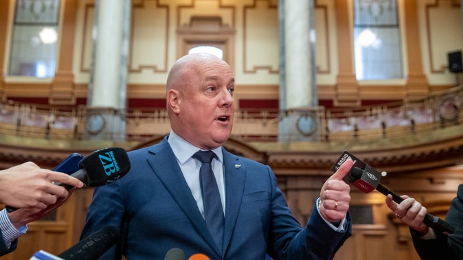 National leader Christopher Luxon. Photo / Mark Mitchell