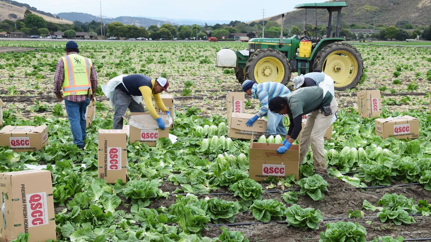 Photo / Getty Images.