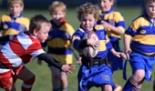 Clubs that have cut out registration fees for juniors are noticing an uptick in their player ranks. Photo / Photosport