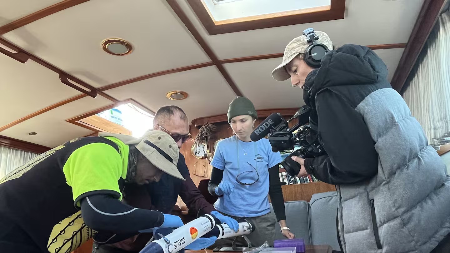 'Magical moment': Whale sighting kickstarts hapū-led marine research voyage