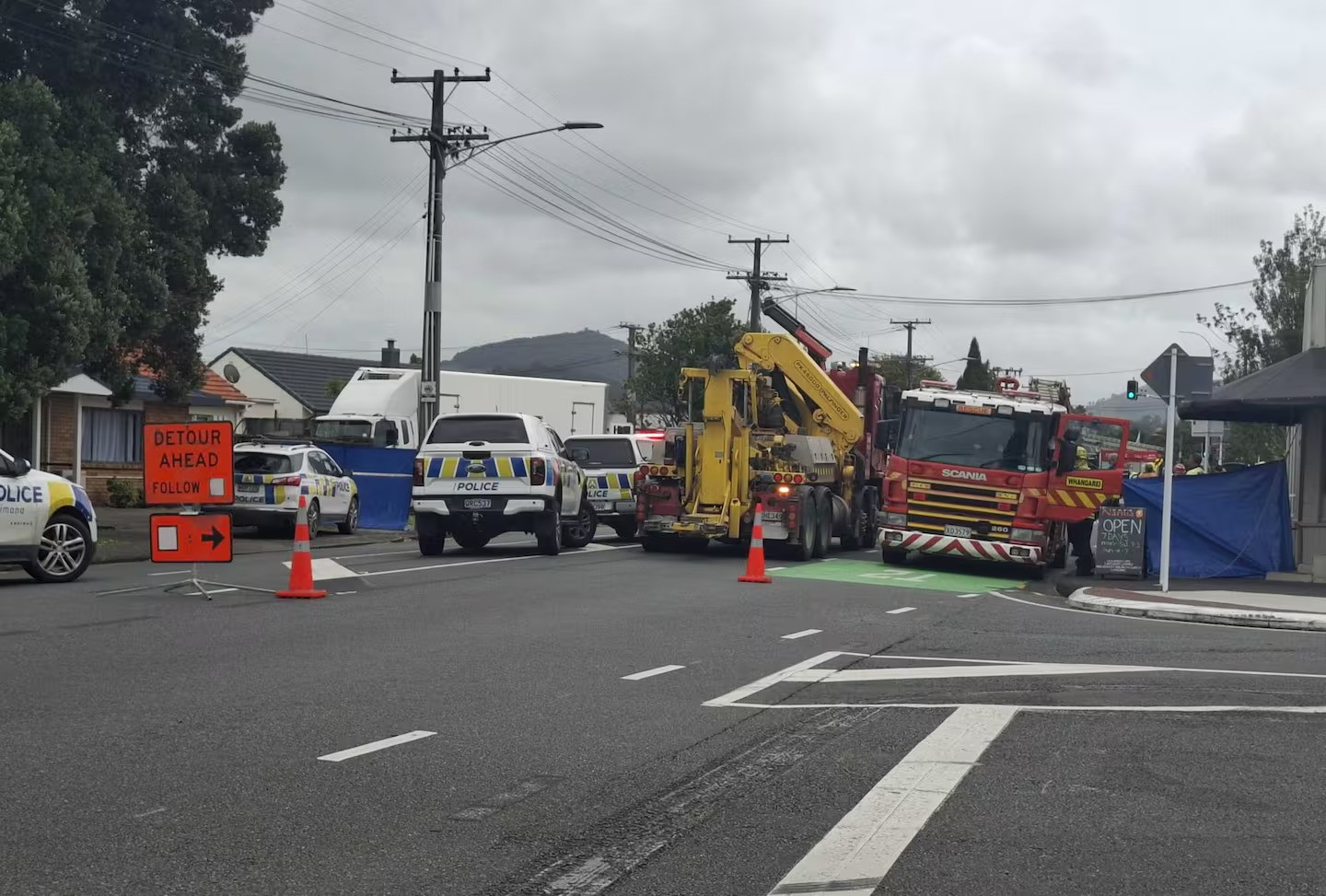 Pedestrian dies after being hit by truck on Whangārei road