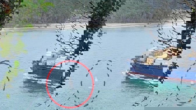 A container ship entering the Tauranga Harbour had to alter its course to avoid hitting a small yacht on June 5. Supplied / Chris Cousins