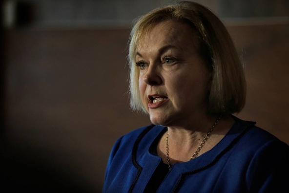 National leader Judith Collins. (Photo / File)