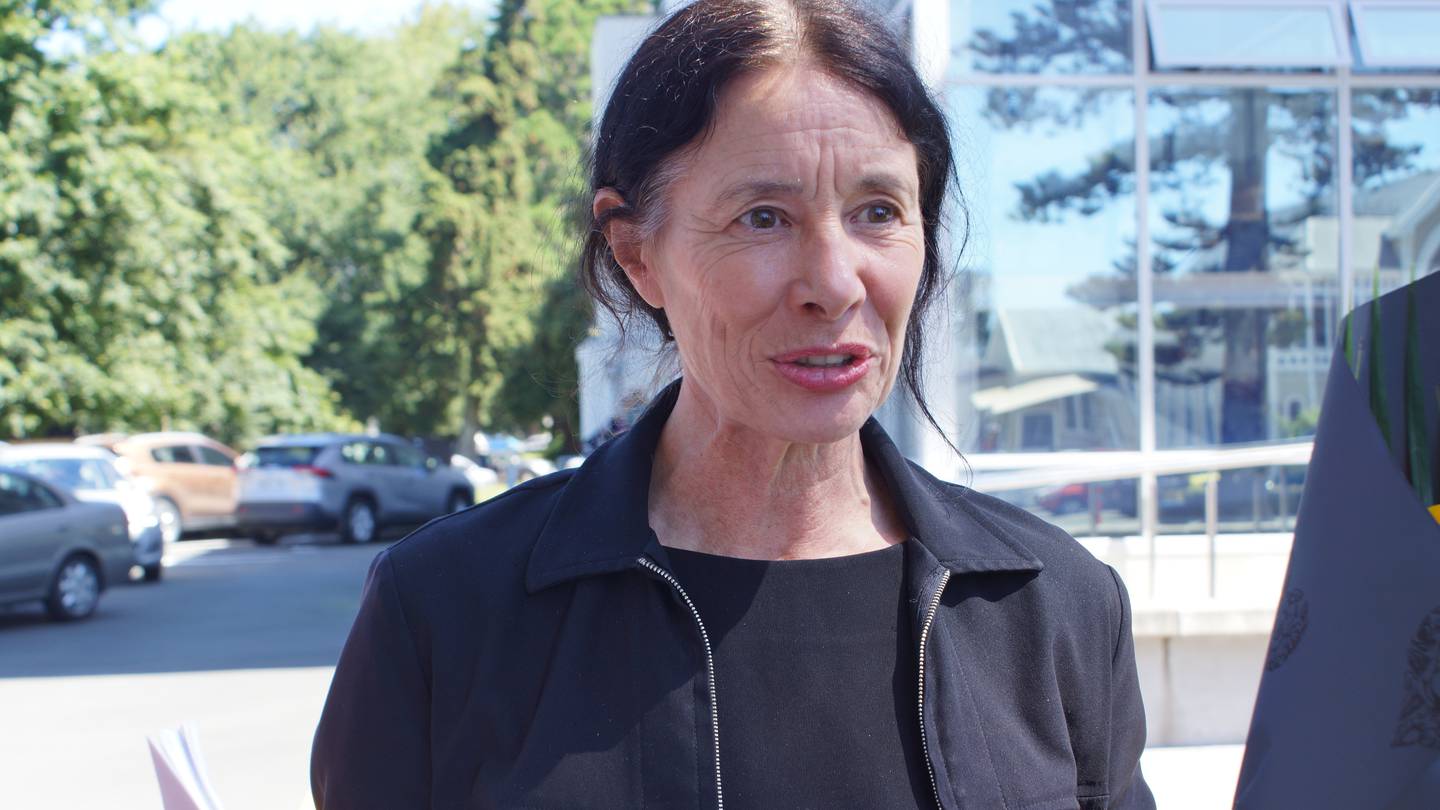Lawyer Sue Grey has been released from the custody of a “freezing police cell” after apologising to a judge for her conduct in court. Photo / NZME