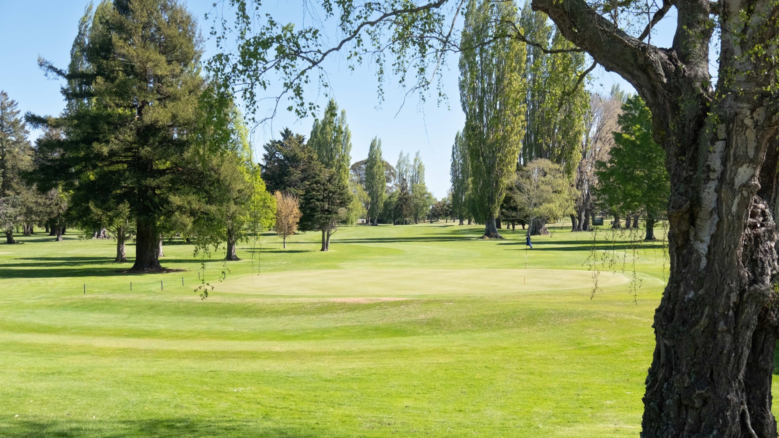 'World-class experience': What Waitikiri Golf Club's new GM hopes to achieve 