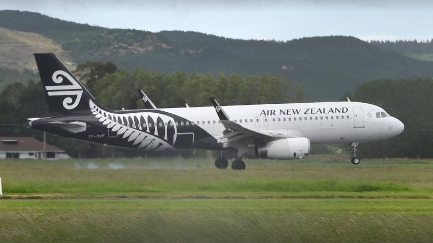 Passengers aboard flight NZ690 from Dunedin to Wellington were delayed for an hour. Photo / Supplied