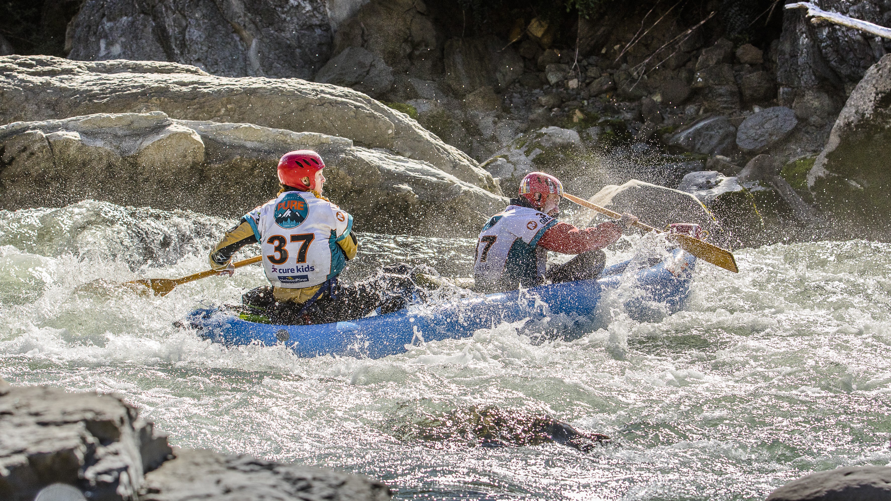 D'Arcy Waldegrave: GODZONE - peak Kiwi madness