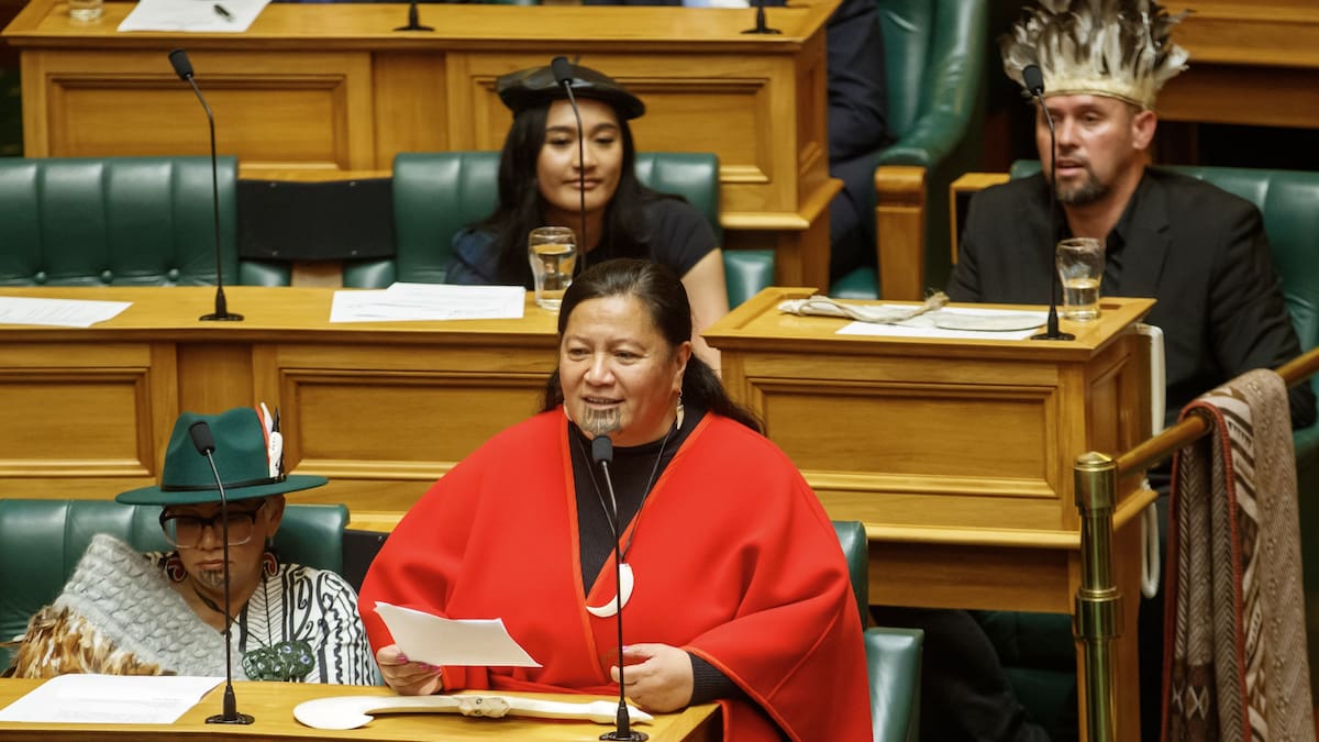 Mariameno Kapa-Kingi said Ferris' comments were not phrased as delicately as they should have been. Photo / Mark Mitchell