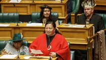‘Things are changing’: Te Pāti Māori MP suddenly removed from role, addresses Ferris' post