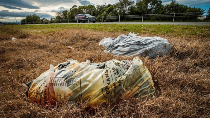 Rubbish dumped next to the Hawke's Bay Expressway (SH2) near Tamatea. Photo / Paul Taylor