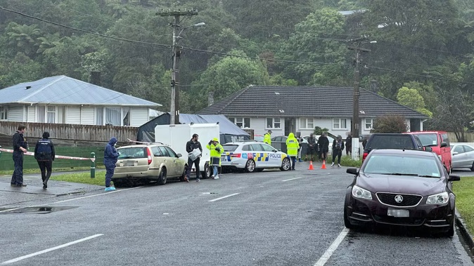 The street in Stokes Valley where the birthday party was held. Photo / Georgina Campbell