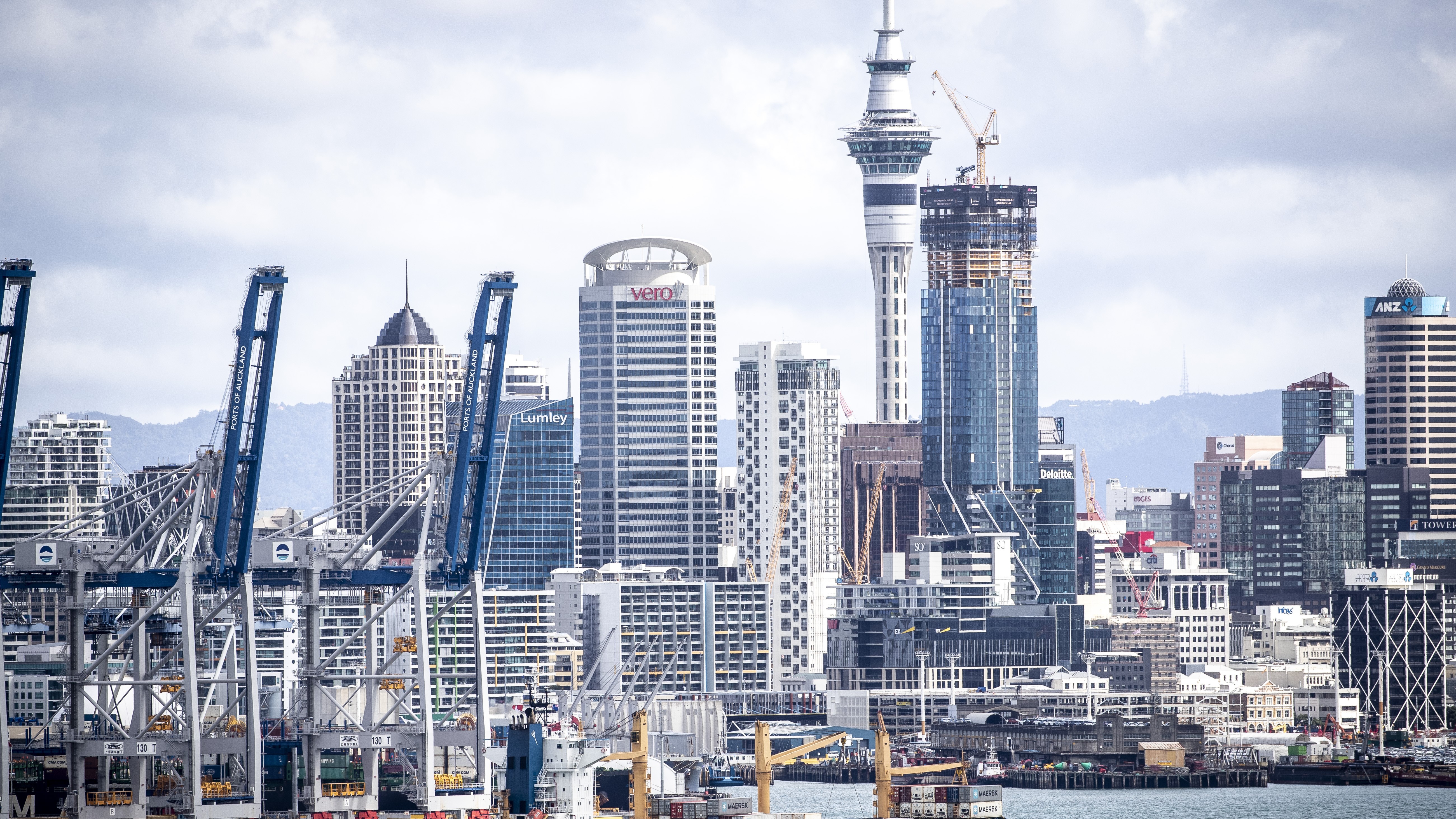 Photo / Michael Craig 