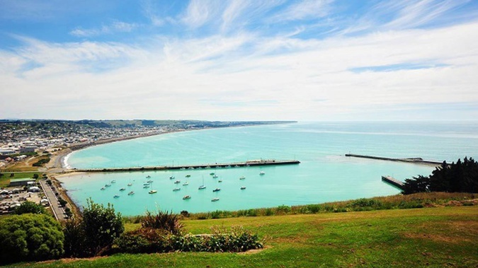 Installing shark warning signs at Oamaru Harbour "might be an overreaction", Waitaki District Council chief executive Alex Parmley says. Photo / Getty Images
