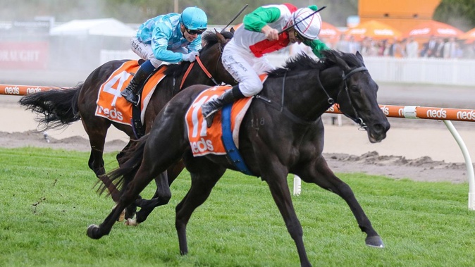 New Zealand racing shares the minds and wallets of those who punt on the horses every Saturday. Photo / Supplied