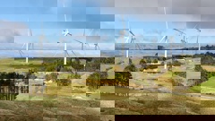 Mercury's Turitea South wind farm near Palmerston North. Photo / File