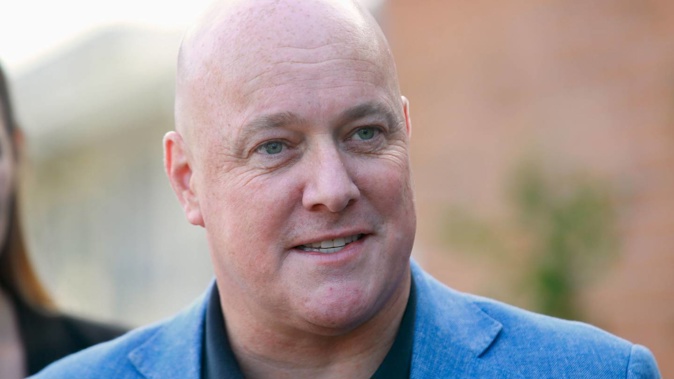 National leader Christopher Luxon ordered a taxpayer-funded Tesla. Photo / Alex Burton