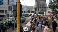 The protest on 22 February 2022. Photo / RNZ